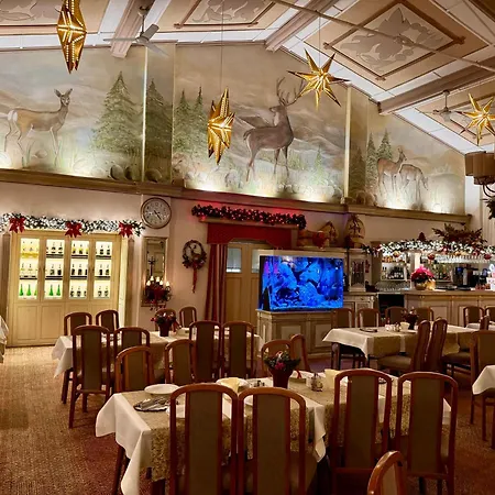 ホテル Pod Jeleniem Świeradów-Zdrój