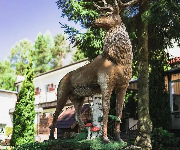 Pod Jeleniem Świeradów-Zdrój