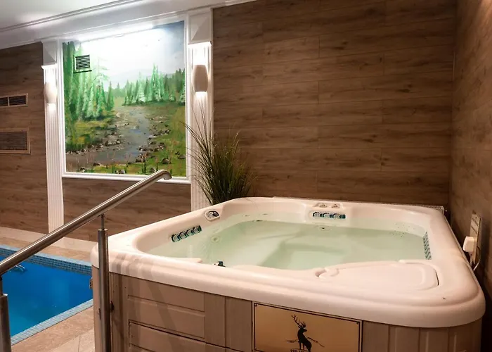 Pod Jeleniem Hotel 3*