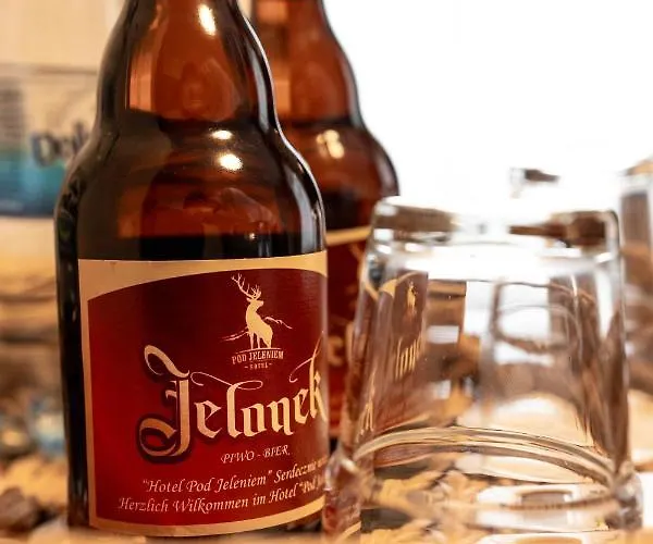 Hotel Pod Jeleniem Świeradów-Zdrój