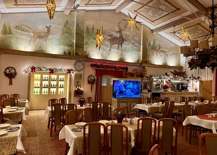 Hotel Pod Jeleniem Świeradów-Zdrój